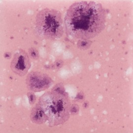 Pink Plum  - 4-oz Mayco Jungle Gem Crystal Glaze